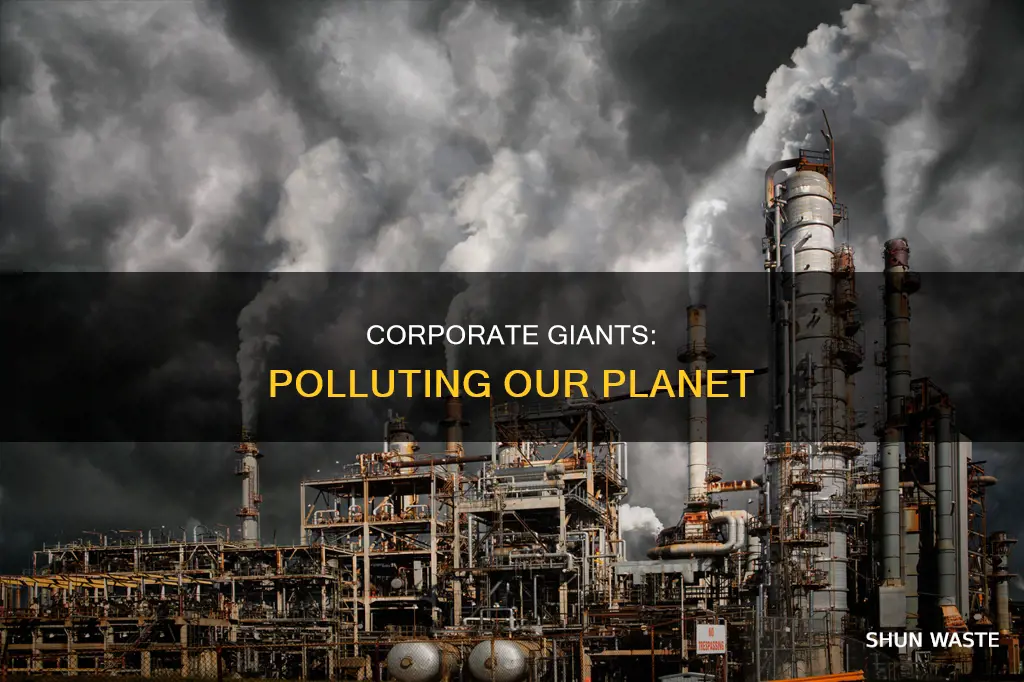 how big companies are polluting the environment