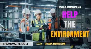 Corporate Green Leadership: How Big Companies Can Drive Environmental Change