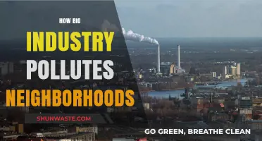 Big Industry's Pollution: Toxic Legacy in Neighborhoods