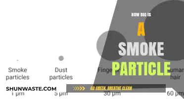 The Elusive Nature of Smoke Particles: Size Mystery