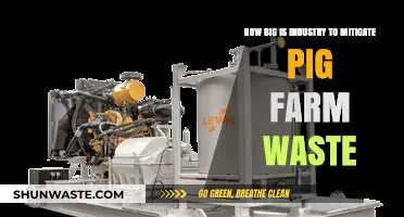 Mitigating Pig Farm Waste: Scale and Impact of Industry Solutions