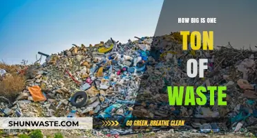 Visualizing One Ton of Waste: Size, Impact, and Sustainable Solutions