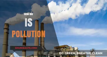 Pollution's Impact: A Global Crisis