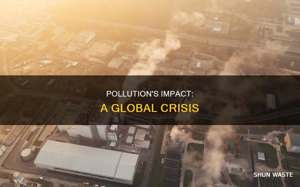 how big is pollution