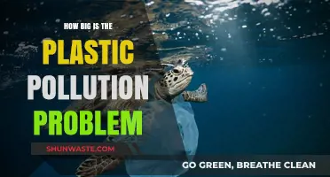 Plastic Pollution: A Global Crisis