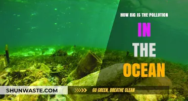 Ocean Pollution: A Vast and Growing Crisis