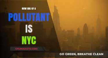 The Dark Side of NYC: A Pollutant Hub