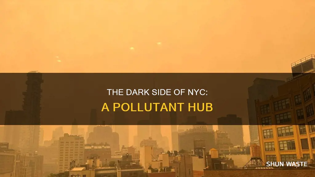 how big of a pollutant is nyc