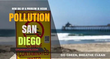 San Diego's Ocean Pollution: A Growing Concern?