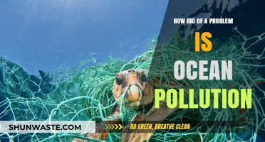 Ocean Pollution: A Crisis We Can't Ignore