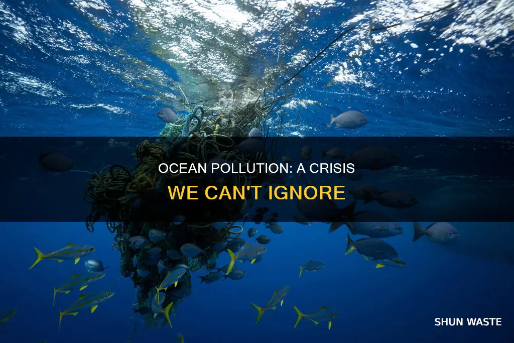 how big of a problem is ocean pollution