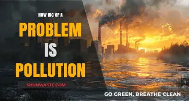 The Dark Side of Pollution: A Global Crisis