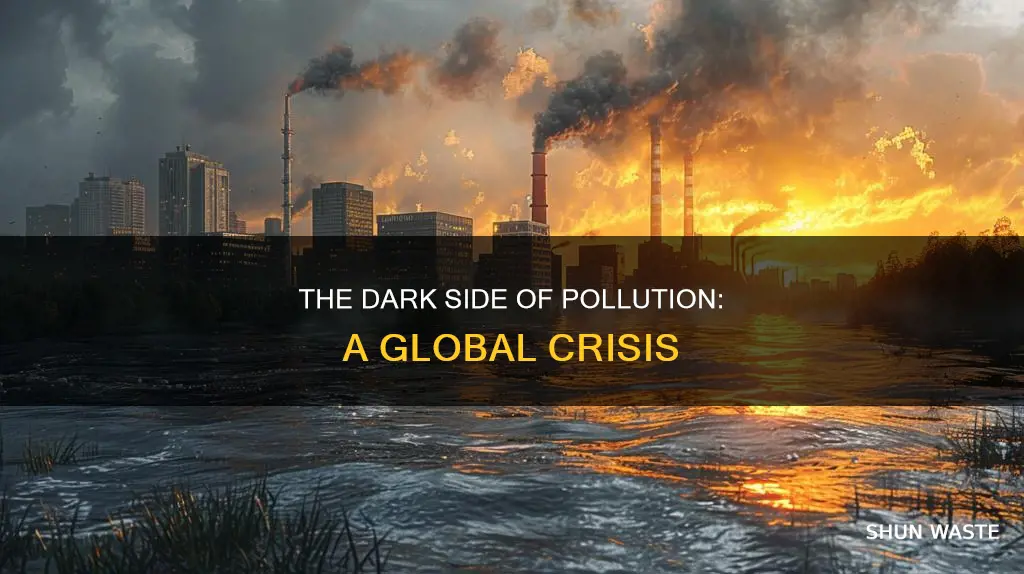 how big of a problem is pollution