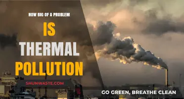 Thermal Pollution: A Growing Environmental Crisis