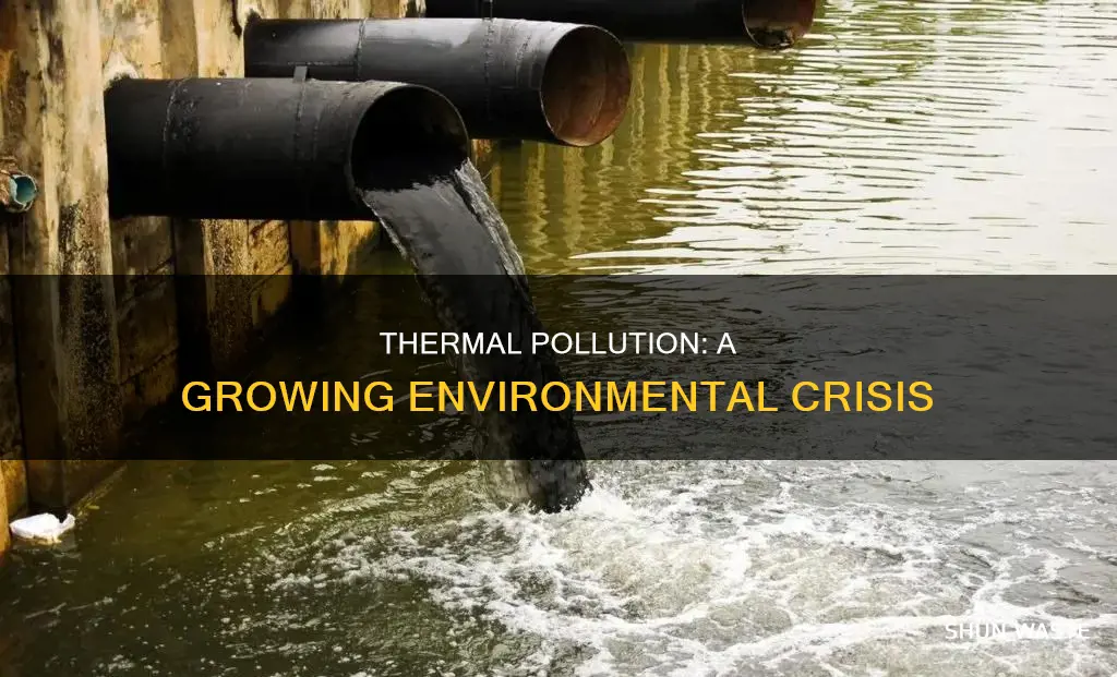 how big of a problem is thermal pollution