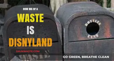 Is Disneyland a Massive Waste of Resources and Time?