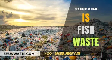 Fish Waste Crisis: A Growing Environmental and Economic Concern