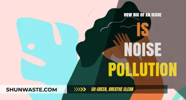 Noise Pollution: A Growing Concern for Our Health?