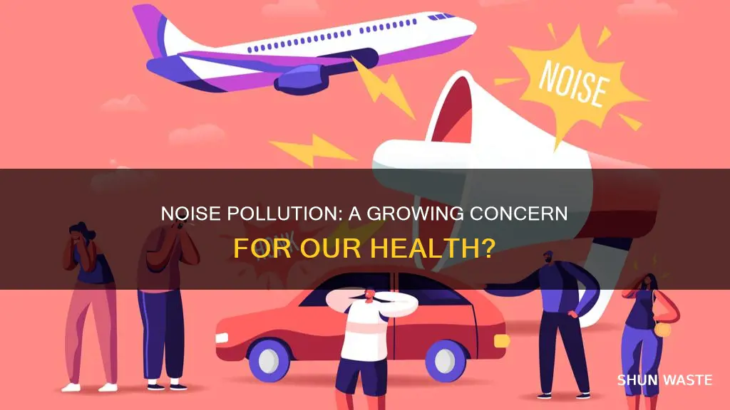 how big of an issue is noise pollution
