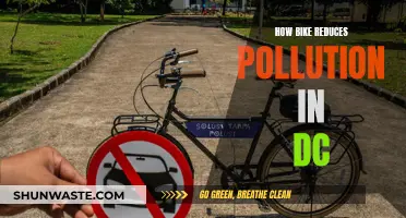 Bikes: Reducing Pollution in DC, One Pedal at a Time