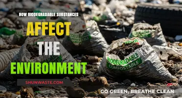 Biodegradable Substances: Environmental Impact and Sustainable Solutions Explored