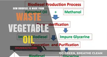 Transforming Waste Vegetable Oil into Biodiesel: A Sustainable Fuel Journey