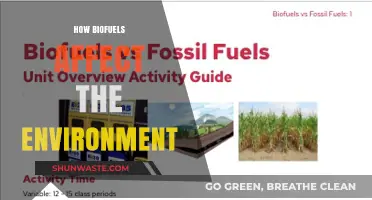 Biofuels' Environmental Impact: Benefits, Drawbacks, and Sustainable Solutions