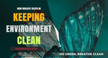 Biology's Role in Sustainable Solutions for a Cleaner Environment