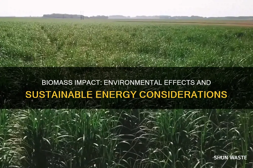 how biomass affects the environment