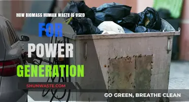 Turning Human Waste into Clean Energy: Biomass Power Generation Explained
