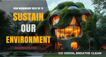 Biomimicry: Nature's Blueprint for a Sustainable Future
