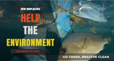 Bioplastics: Sustainable Solutions for Reducing Environmental Pollution and Waste