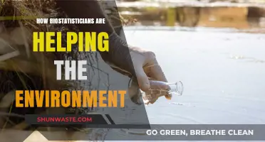 Biostatisticians' Role in Environmental Conservation and Sustainability Efforts