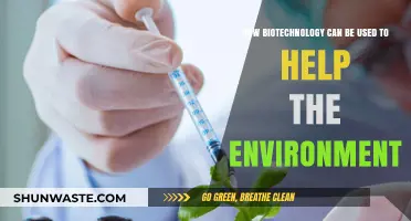 Biotechnology Innovations: Sustainable Solutions for Environmental Conservation and Restoration
