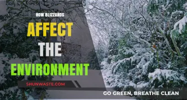 Blizzards' Environmental Impact: Snowstorms' Effects on Ecosystems and Landscapes