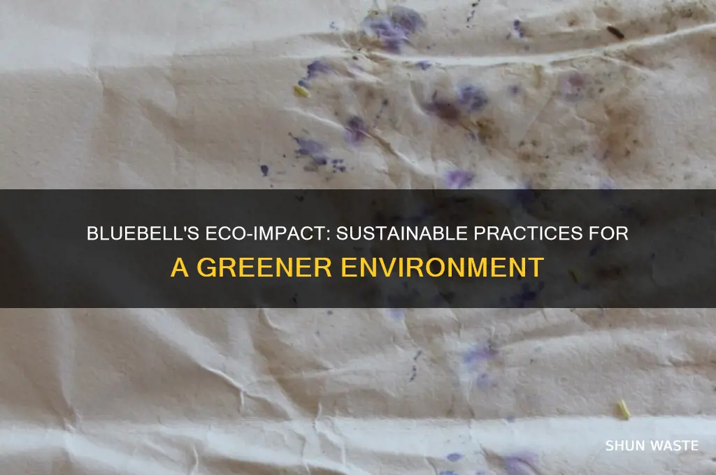how bluebell helps the environment