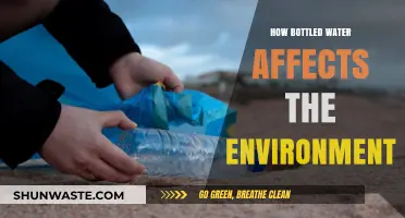 The Hidden Environmental Cost of Bottled Water Consumption
