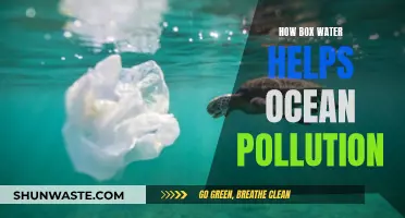 Box Water's Impact: Reducing Ocean Pollution with Sustainable Packaging