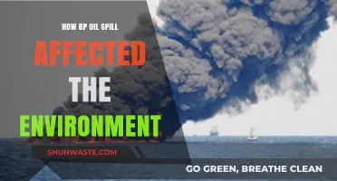 BP Oil Spill's Devastating Environmental Impact: A Comprehensive Analysis