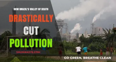 The Valley of Death: Brazil's War on Pollution