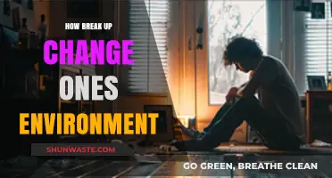 How Breakups Transform Your Environment: A Journey of Change and Growth