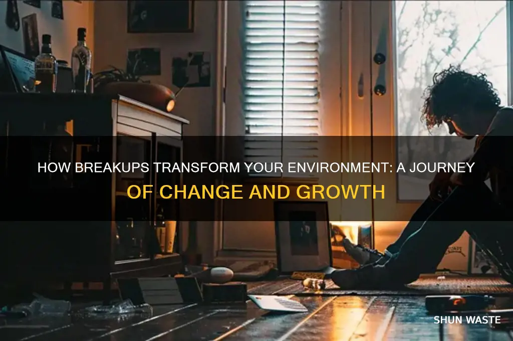 how break up change ones environment
