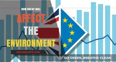 Brexit's Environmental Impact: Unraveling the Consequences for Nature and Climate