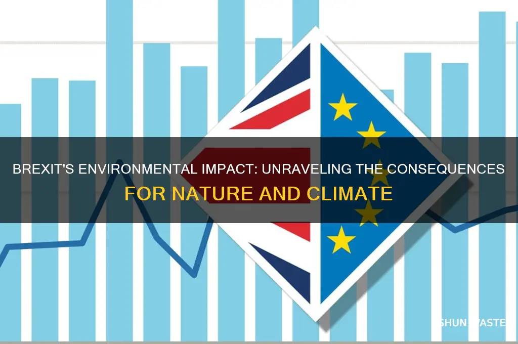 how brexit will affect the environment