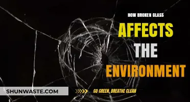 Broken Glass: Unseen Environmental Hazards and Long-Term Ecological Impacts