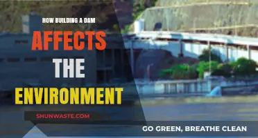 Environmental Impacts of Dam Construction: Ecosystem Disruption and Beyond