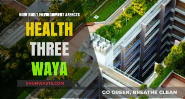 Built Environment's Impact: Three Key Ways It Shapes Our Health