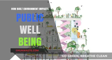 Designing Spaces: How Built Environments Shape Public Well-Being and Health