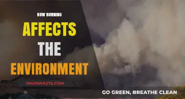Burning's Impact: Environmental Consequences and Long-Term Ecological Effects