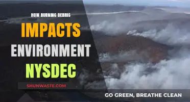 Burning Debris in NYS: Environmental Impacts and NYS DEC Regulations
